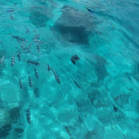 Holiday Time Bungalows Zanzibar Matemwe  Εξωτερικό φωτογραφία