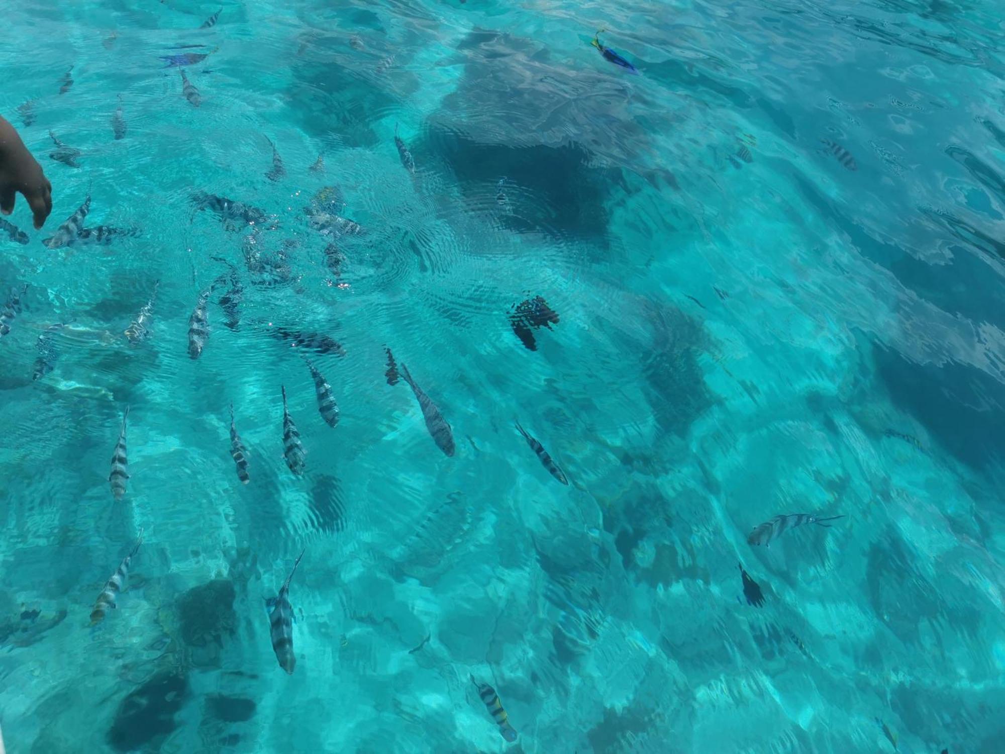 Holiday Time Bungalows Zanzibar Matemwe  Εξωτερικό φωτογραφία