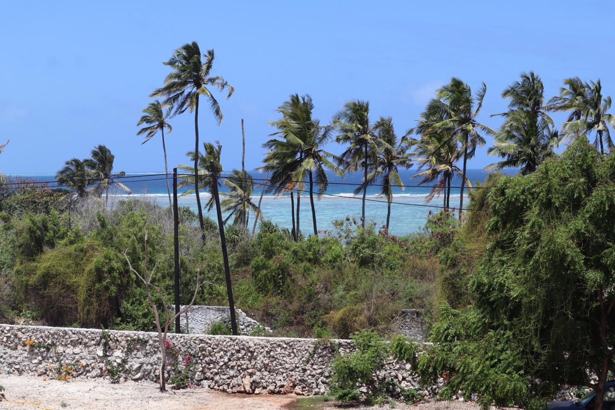 Holiday Time Bungalows Zanzibar Matemwe  Εξωτερικό φωτογραφία